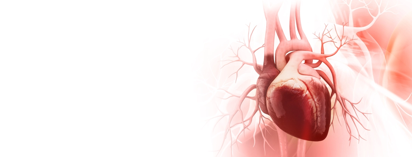 Atrial Fibrillation Treatment in India: Cost, Types & Best Cure Options